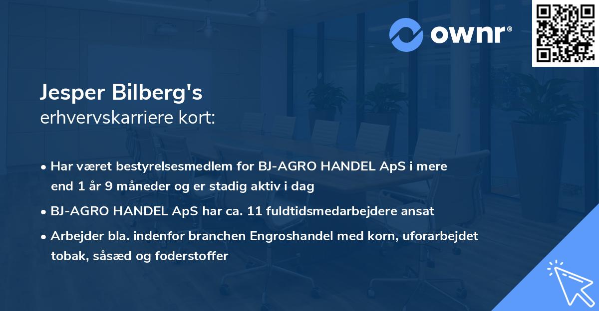 Jesper Bilberg's erhvervskarriere kort