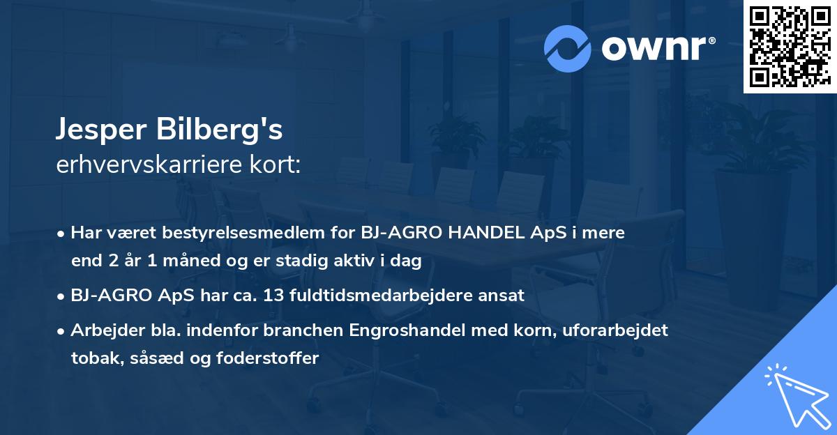 Jesper Bilberg's erhvervskarriere kort