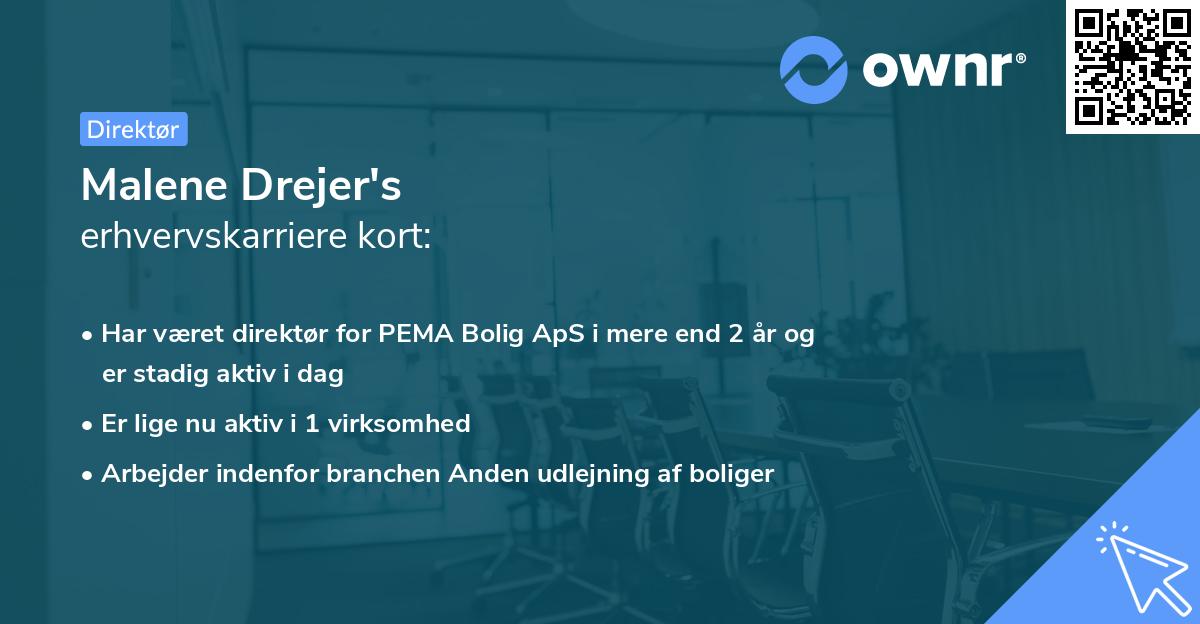 Malene Drejer's erhvervskarriere kort