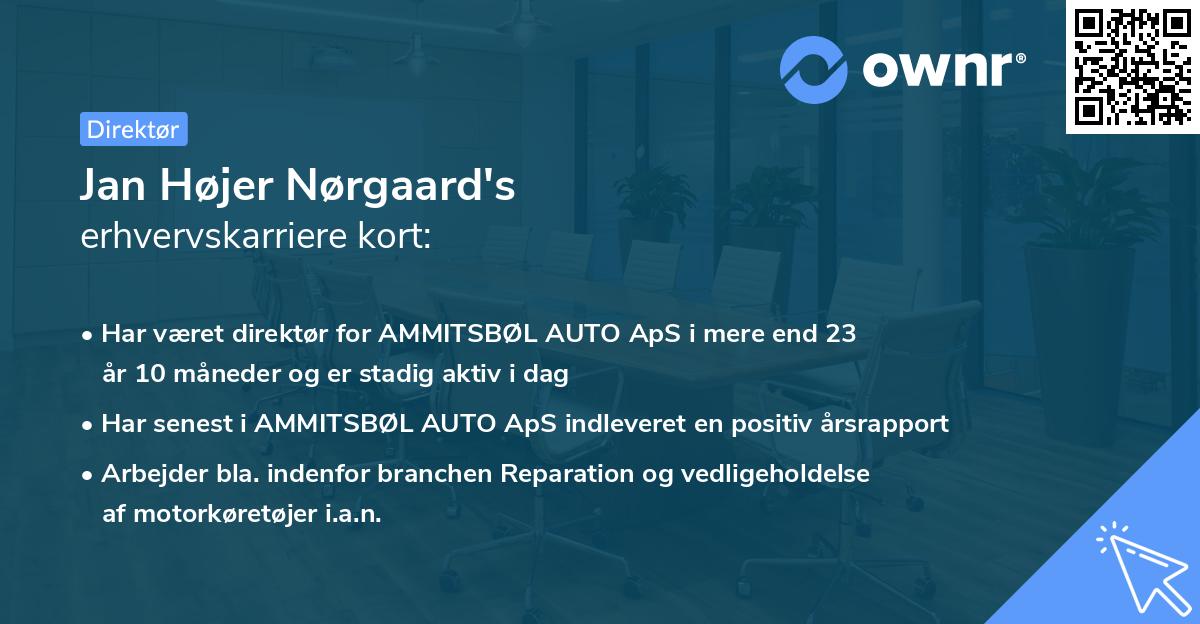 Jan Højer Nørgaard's erhvervskarriere kort