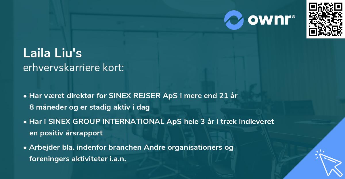 Laila Liu's erhvervskarriere kort