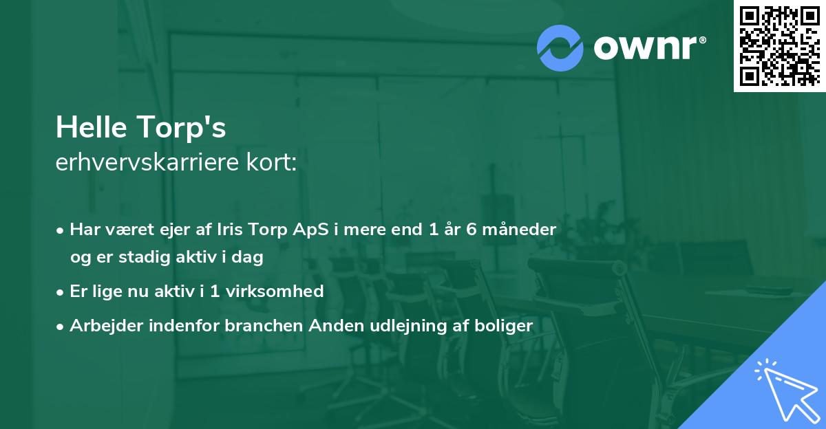 Helle Torp's erhvervskarriere kort