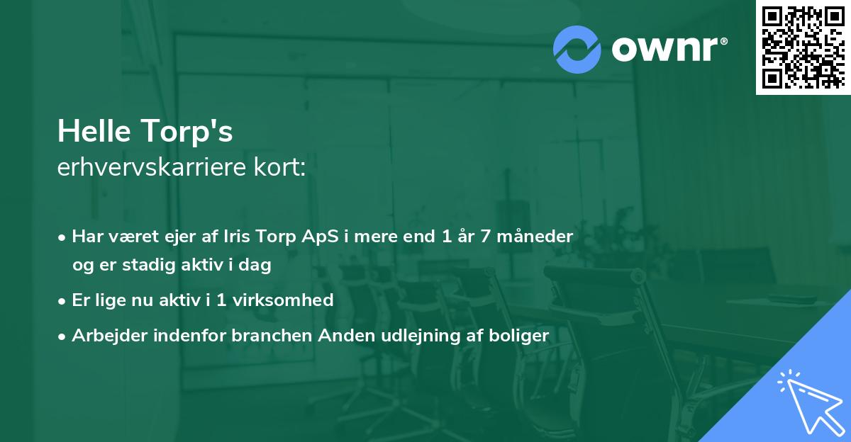 Helle Torp's erhvervskarriere kort