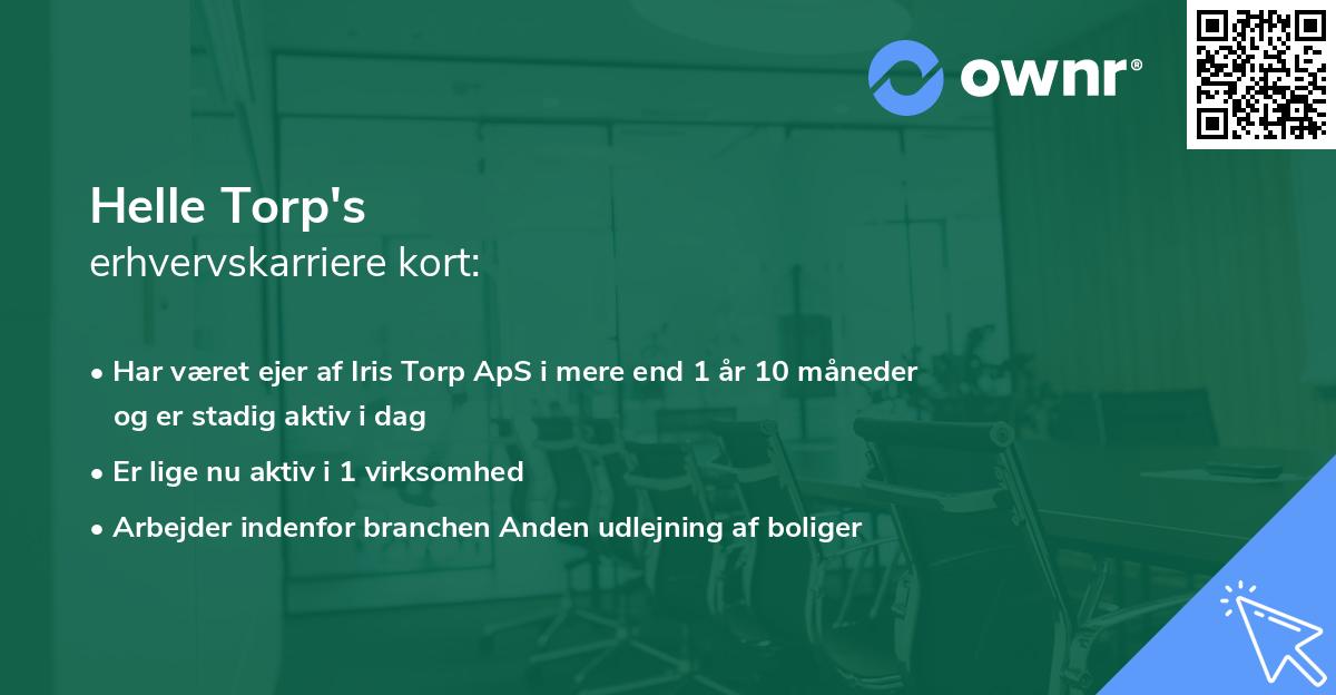 Helle Torp's erhvervskarriere kort