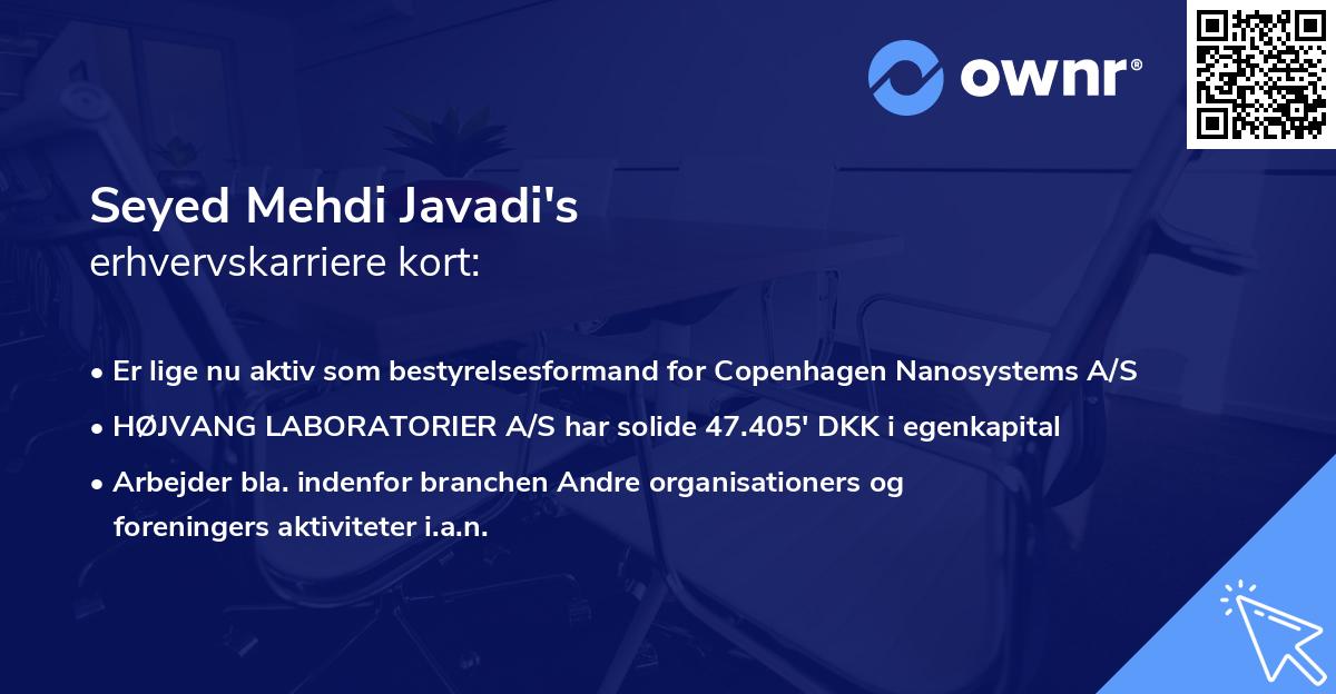 Seyed Mehdi Javadi's erhvervskarriere kort