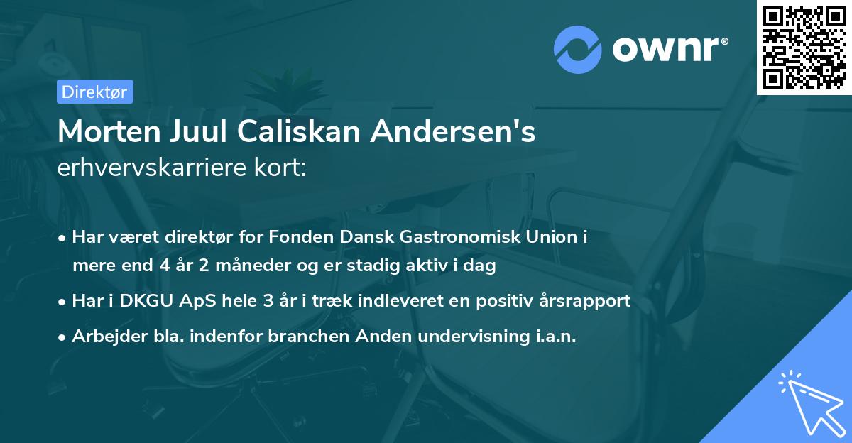 Morten Juul Caliskan Andersen's erhvervskarriere kort