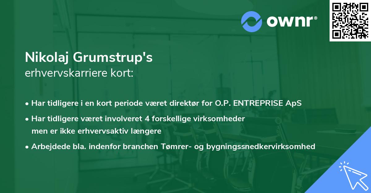 Nikolaj Grumstrup's erhvervskarriere kort