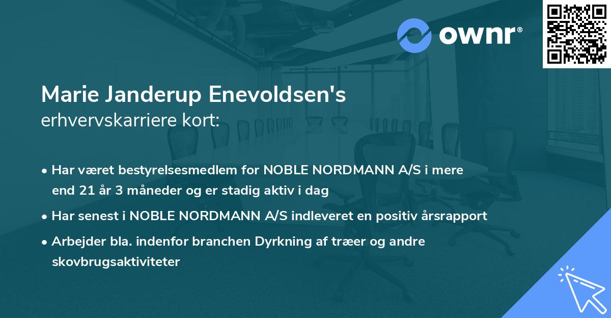 Marie Janderup Enevoldsen's erhvervskarriere kort