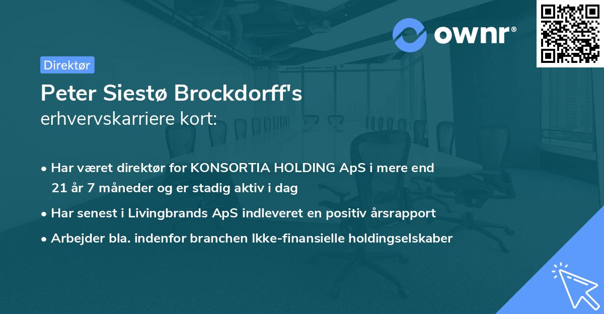Peter Siestø Brockdorff's erhvervskarriere kort