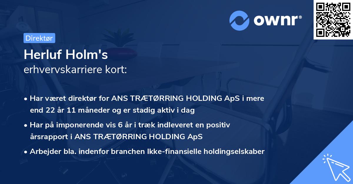 Herluf Holm's erhvervskarriere kort