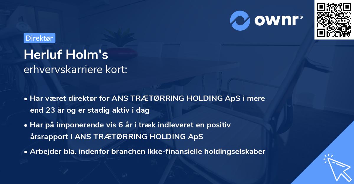 Herluf Holm's erhvervskarriere kort