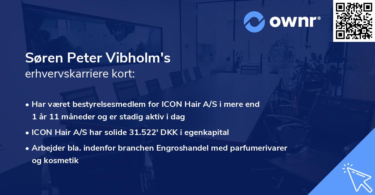 Søren Peter Vibholm's erhvervskarriere kort