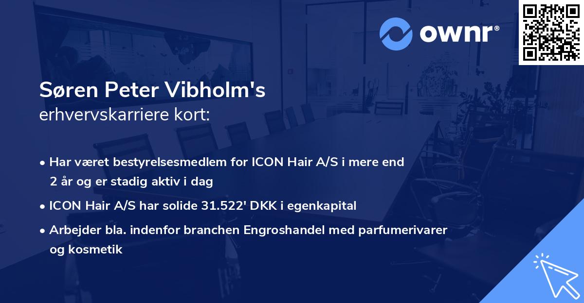Søren Peter Vibholm's erhvervskarriere kort