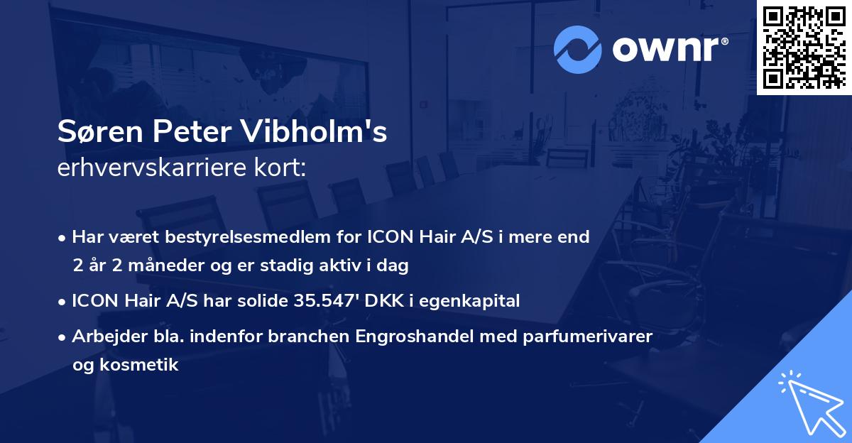 Søren Peter Vibholm's erhvervskarriere kort