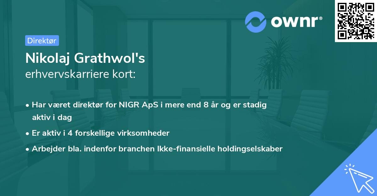 Nikolaj Grathwol's erhvervskarriere kort