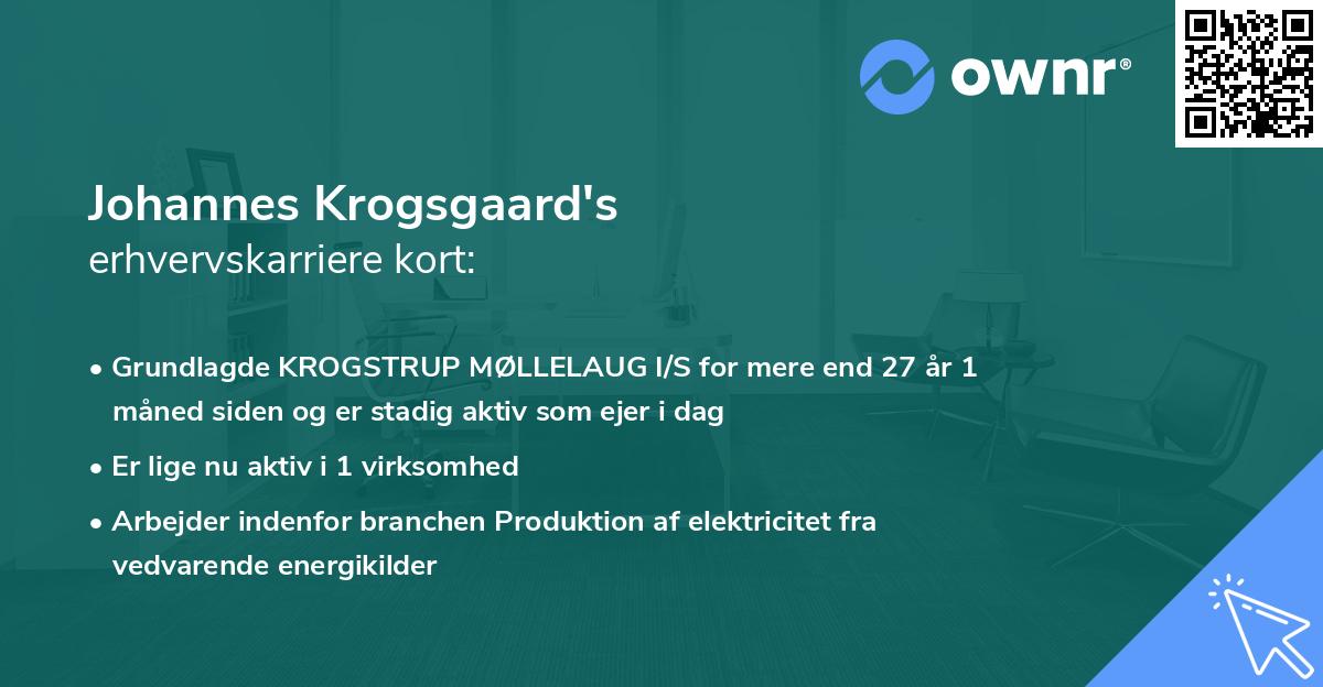 Johannes Krogsgaard's erhvervskarriere kort