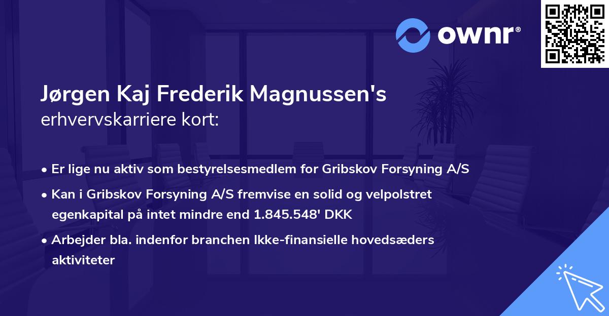 Jørgen Kaj Frederik Magnussen's erhvervskarriere kort