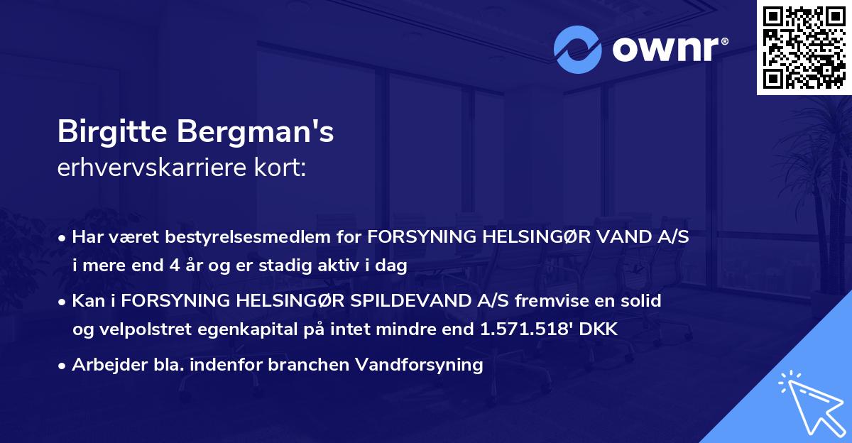 Birgitte Bergman's erhvervskarriere kort