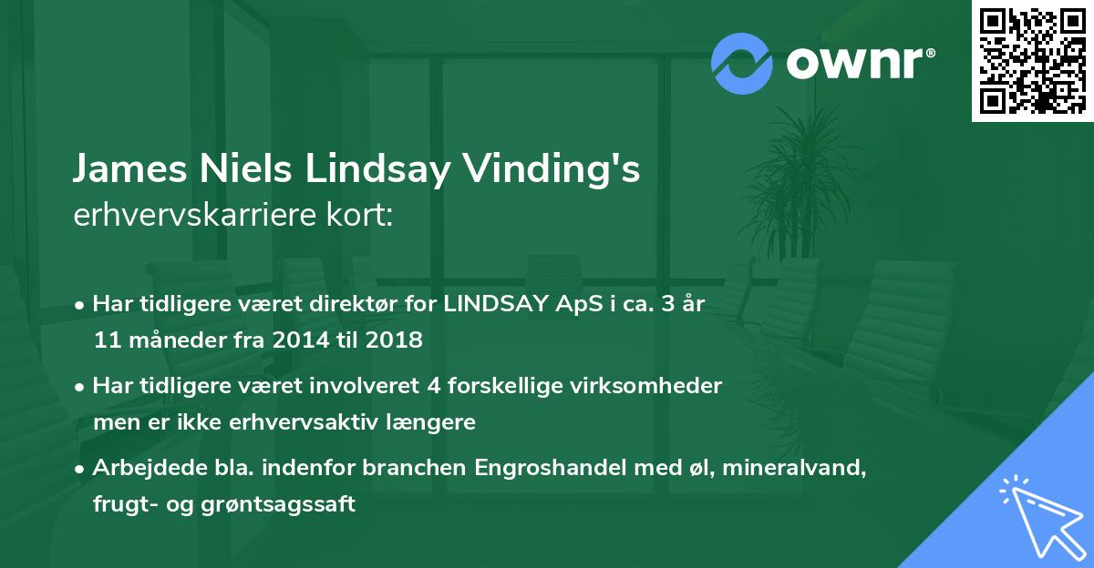 James Niels Lindsay Vinding's erhvervskarriere kort