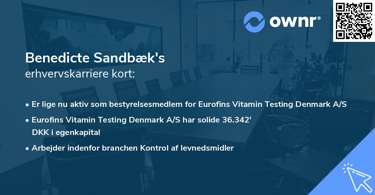 Benedicte Sandbæk's erhvervskarriere kort