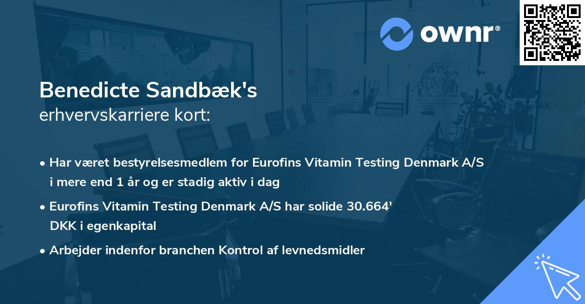 Benedicte Sandbæk's erhvervskarriere kort