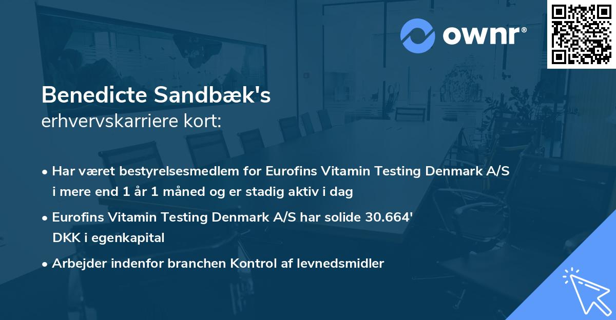 Benedicte Sandbæk's erhvervskarriere kort