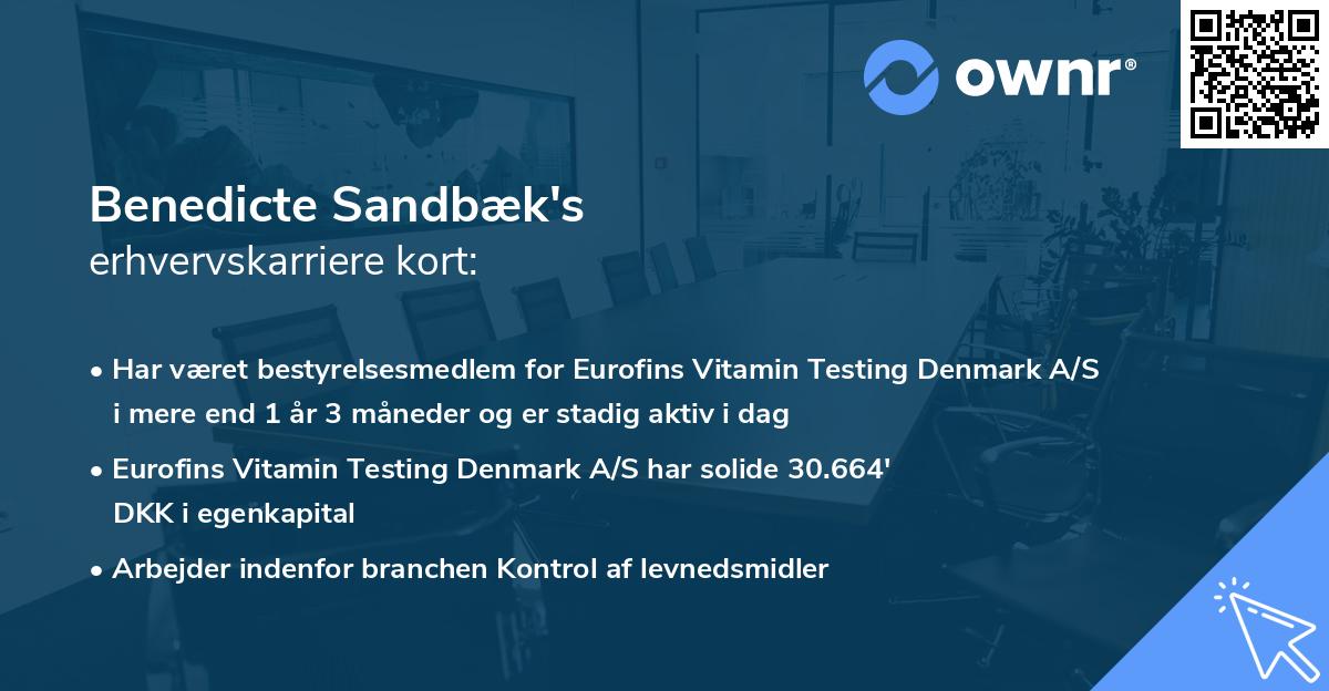 Benedicte Sandbæk's erhvervskarriere kort