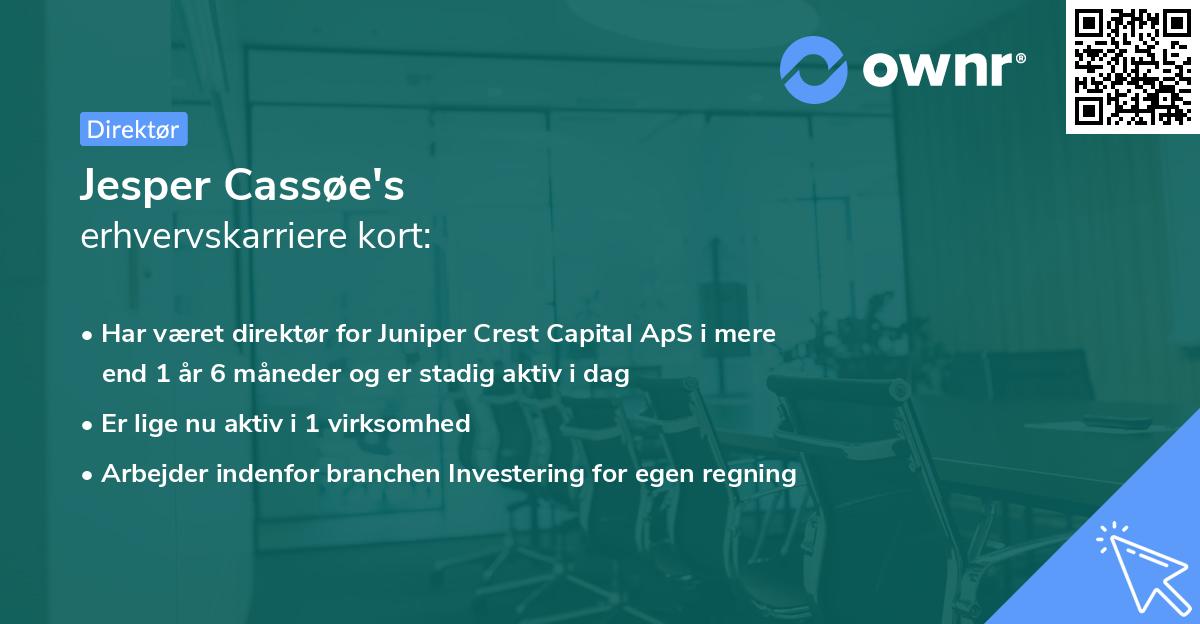 Jesper Cassøe's erhvervskarriere kort