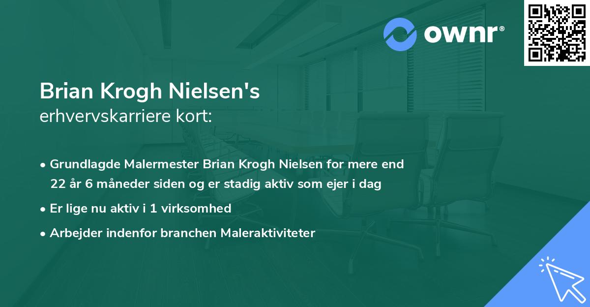 Brian Krogh Nielsen's erhvervskarriere kort