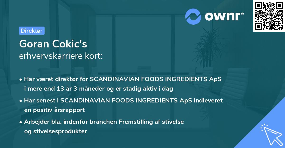 Goran Cokic's erhvervskarriere kort