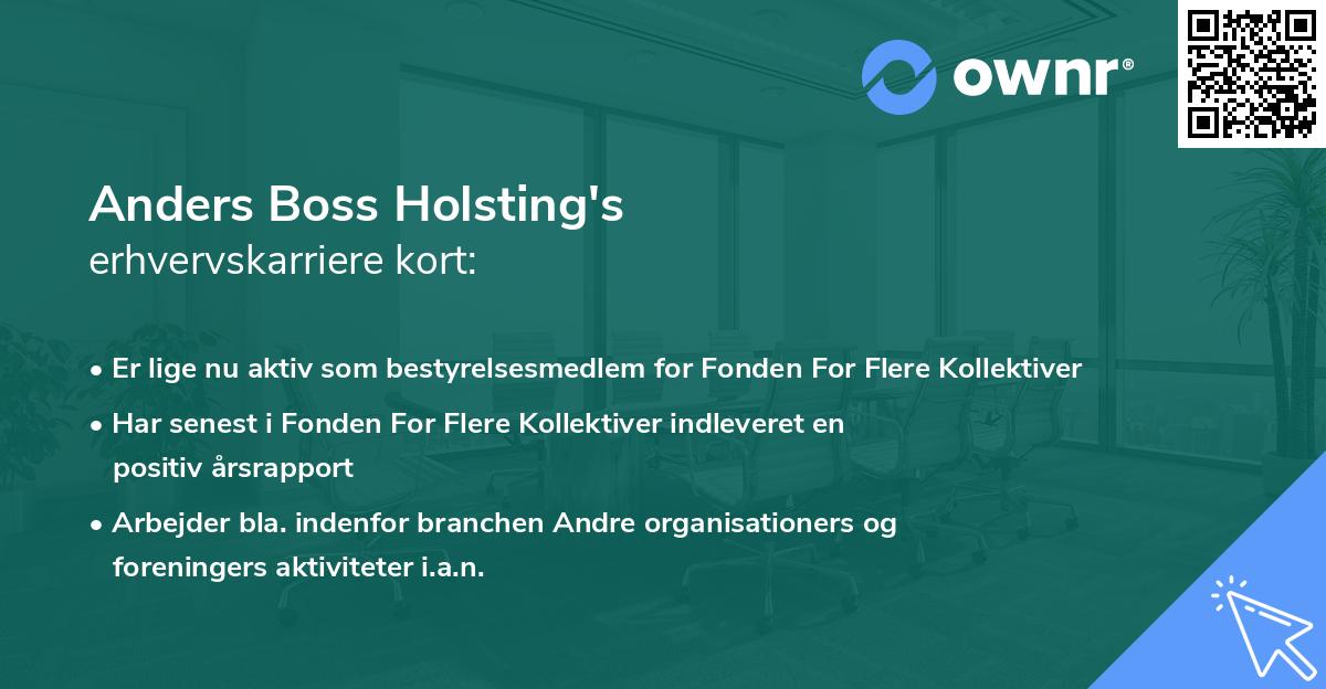 Anders Boss Holsting's erhvervskarriere kort