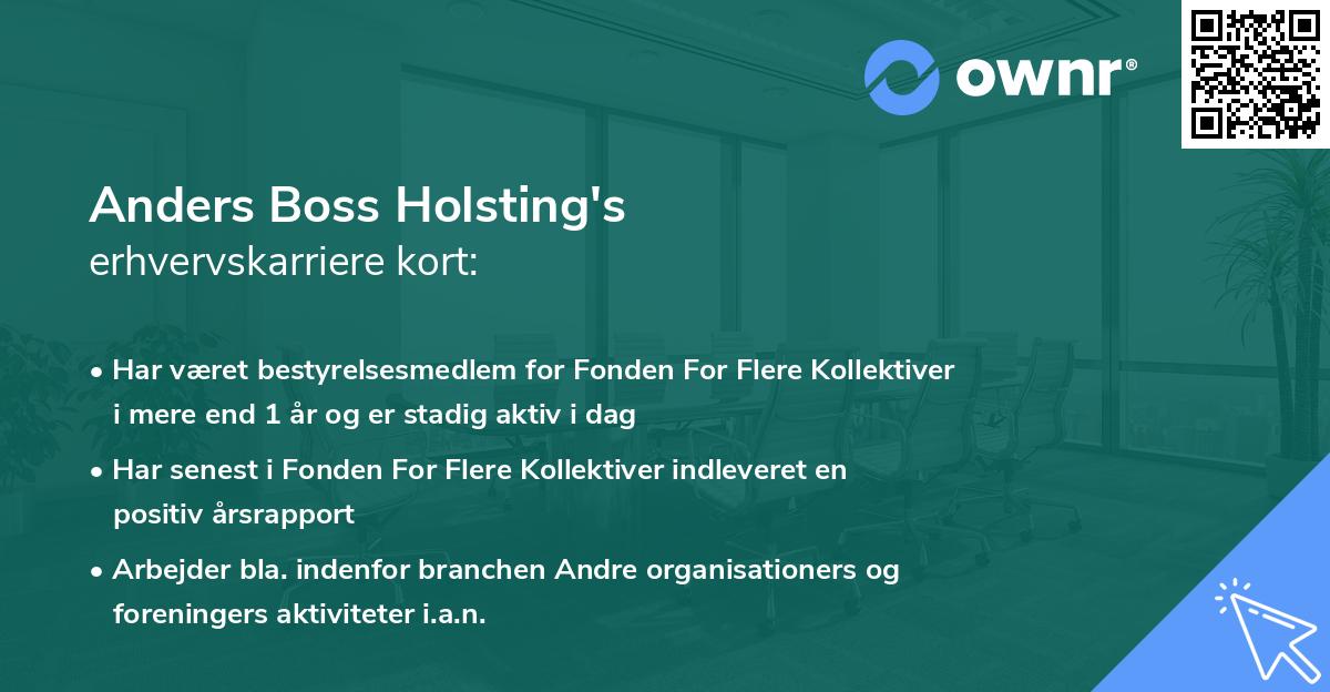 Anders Boss Holsting's erhvervskarriere kort