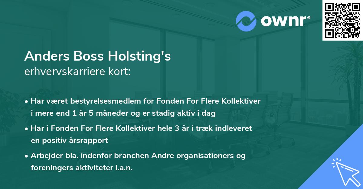 Anders Boss Holsting's erhvervskarriere kort