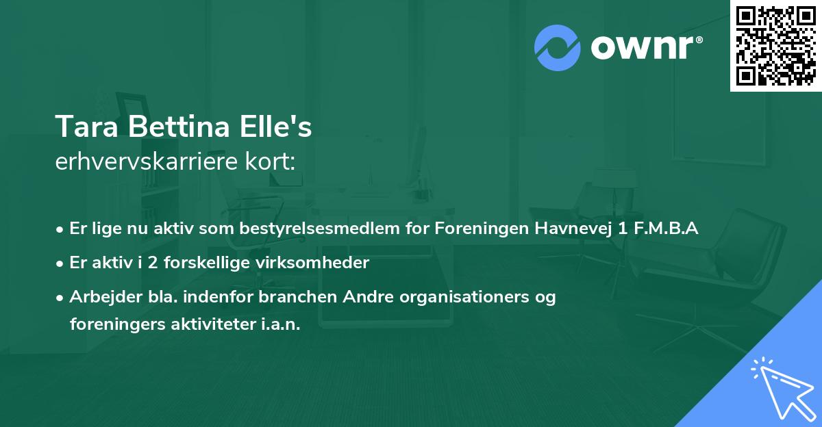 Tara Bettina Elle's erhvervskarriere kort