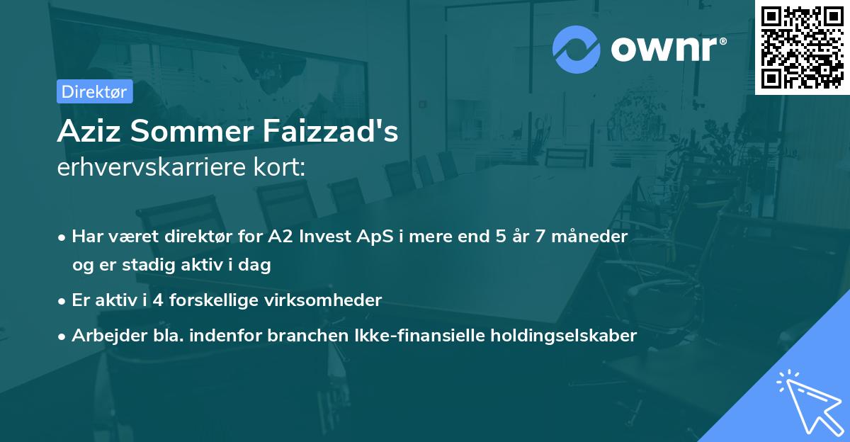 Aziz Sommer Faizzad's erhvervskarriere kort