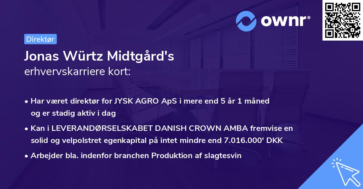Jonas Würtz Midtgård's erhvervskarriere kort