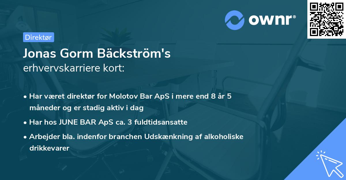 Jonas Gorm Bäckström's erhvervskarriere kort