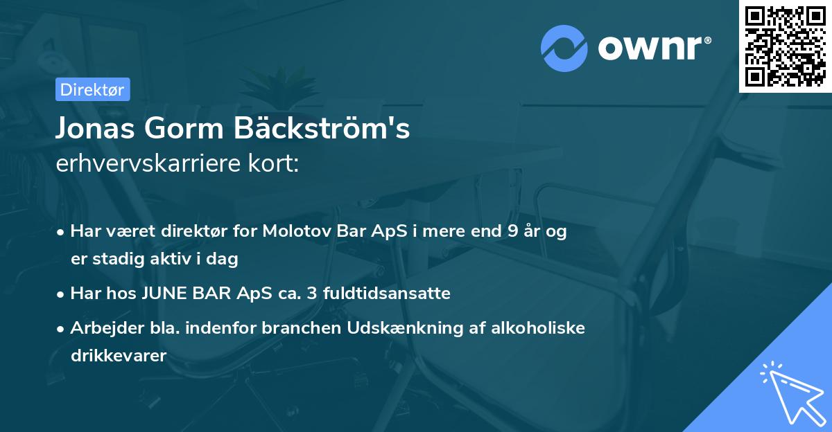 Jonas Gorm Bäckström's erhvervskarriere kort