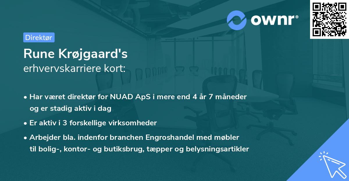 Rune Krøjgaard's erhvervskarriere kort