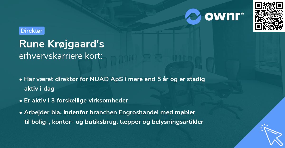 Rune Krøjgaard's erhvervskarriere kort