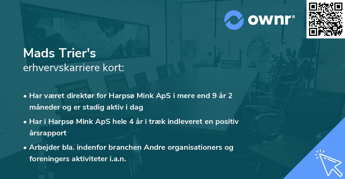 Mads Trier's erhvervskarriere kort