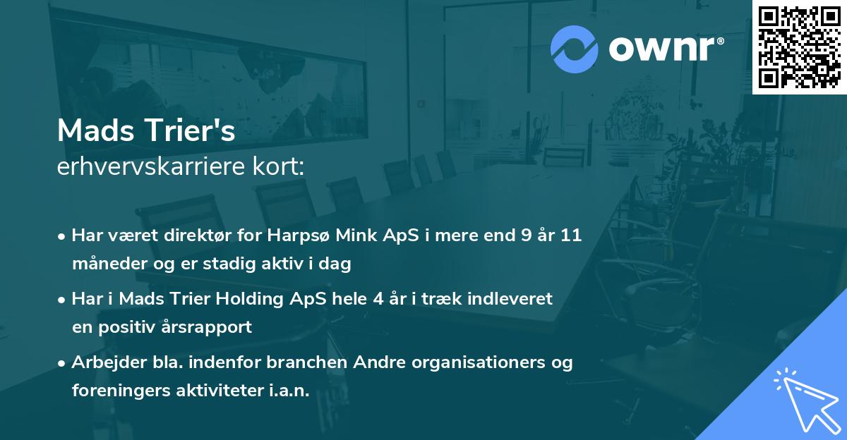 Mads Trier's erhvervskarriere kort