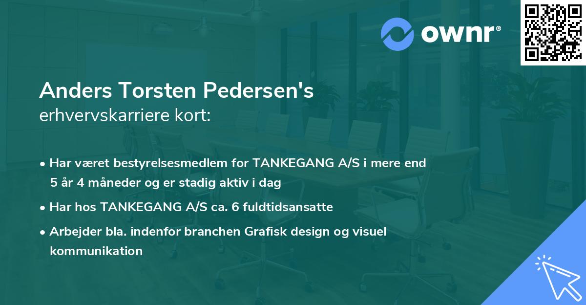 Anders Torsten Pedersen's erhvervskarriere kort