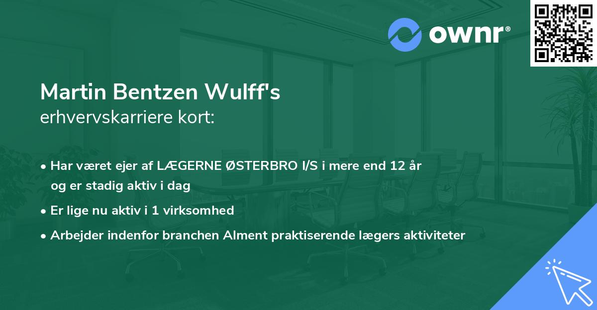 Martin Bentzen Wulff's erhvervskarriere kort