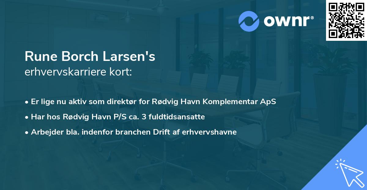 Rune Borch Larsen's erhvervskarriere kort