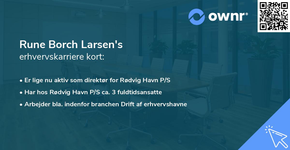 Rune Borch Larsen's erhvervskarriere kort