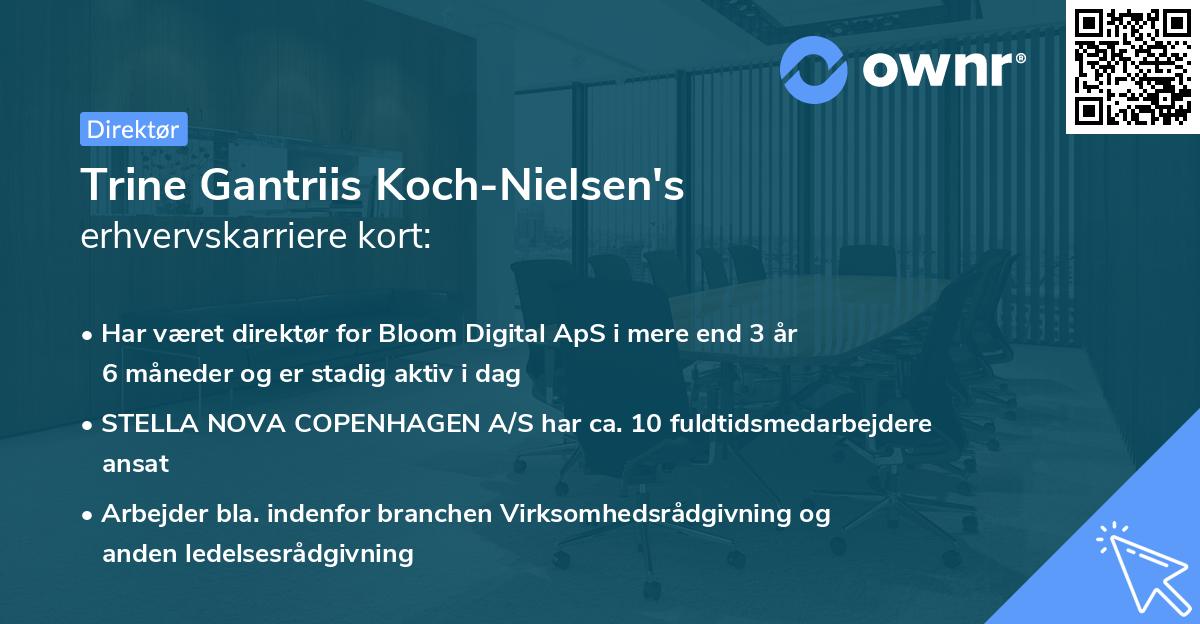 Trine Gantriis Koch-Nielsen's erhvervskarriere kort