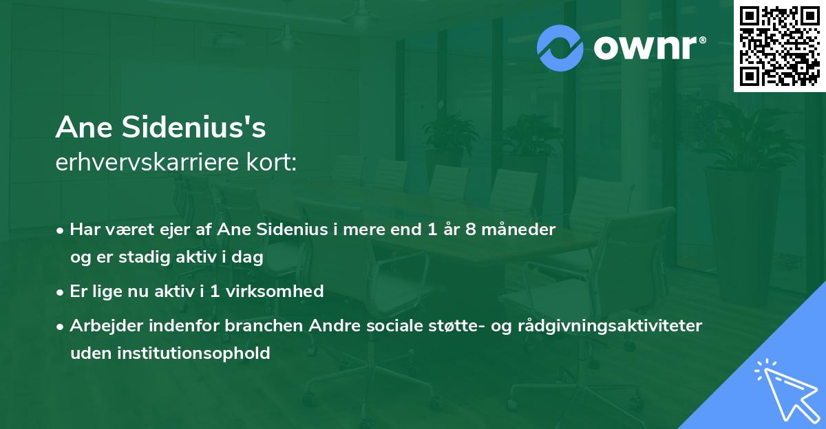Ane Sidenius's erhvervskarriere kort