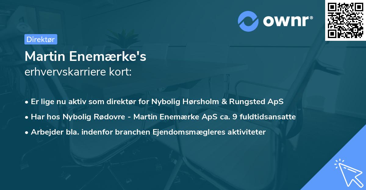 Martin Enemærke's erhvervskarriere kort