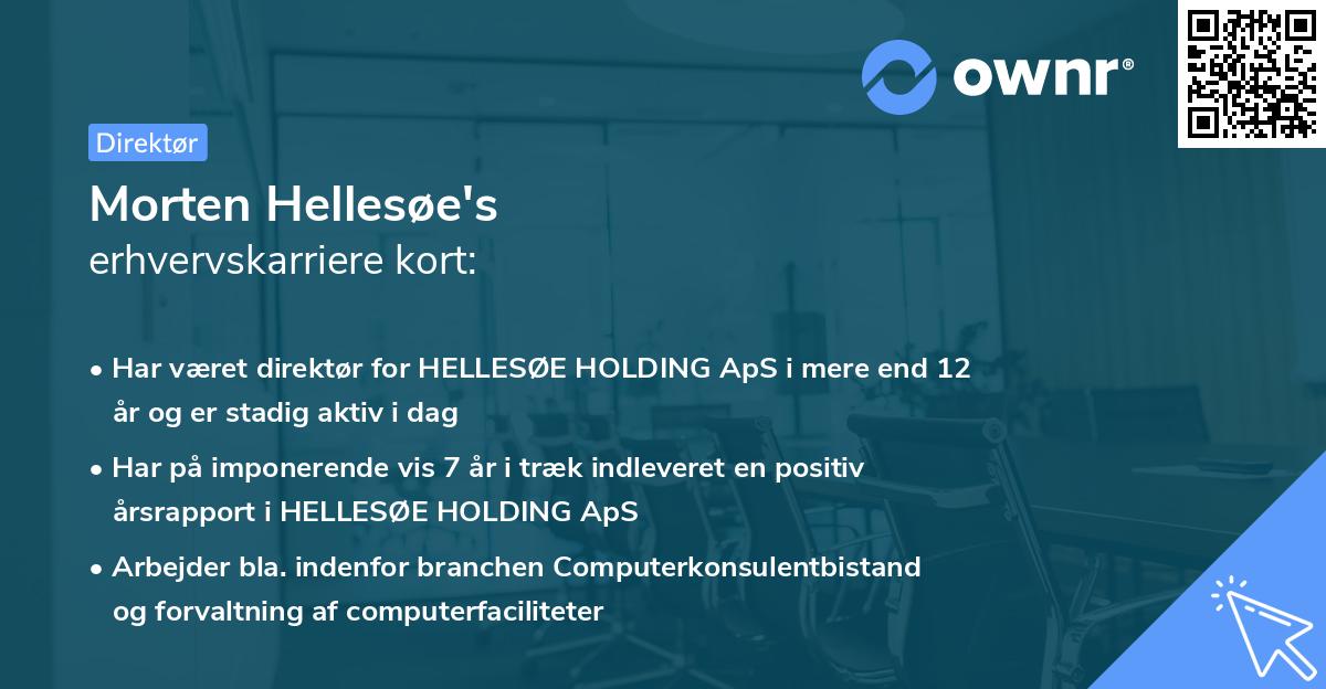 Morten Hellesøe's erhvervskarriere kort